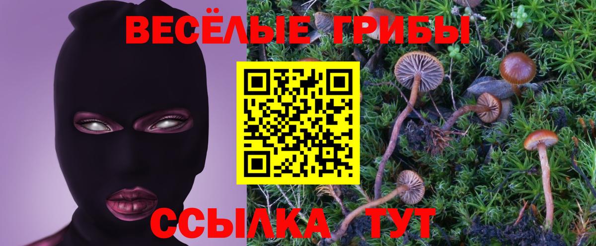 Камень-на-Оби  Псилоцибиновые грибы мухоморы  Вход с VPN 