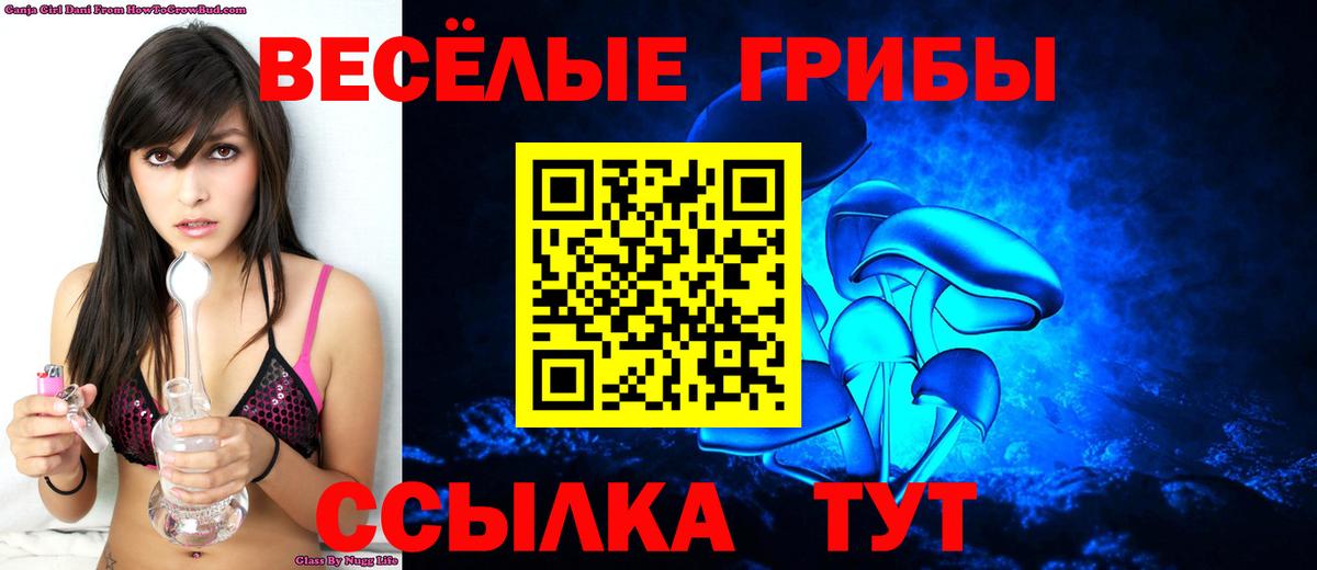 Галлюциногенные грибы GOLDEN TEACHER Камень-на-Оби
